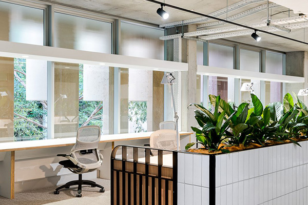 Internal Fitouts